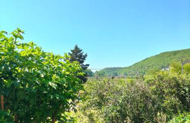 Maison de vacances Ana Maria - Photo 22