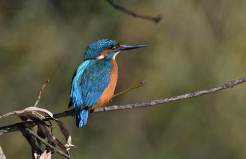 Hotel Casa Rural Don Álvaro de Luna - Foto 32
