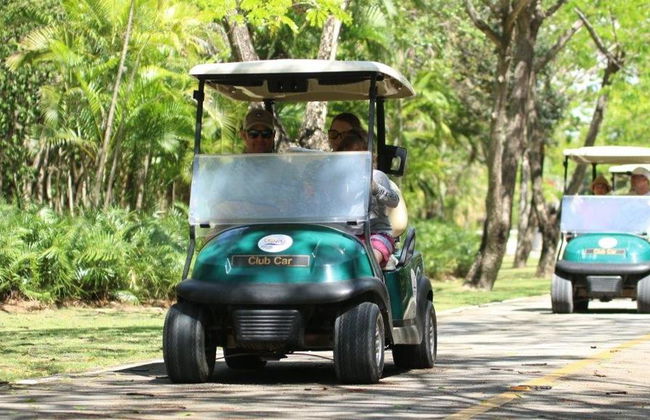 Golfcart-Öko-Tour in kleiner Gruppe - Foto 1