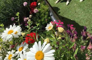 Central Worthing, 3 bedrooms, 600m from beach - Foto 28