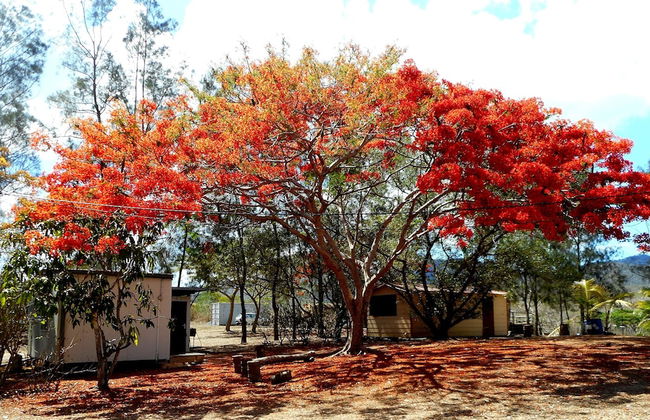 La Petite Ferme - Foto 1