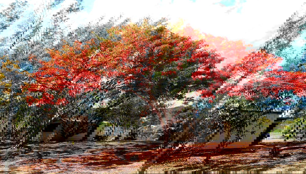 La Petite Ferme - Foto 1, Profilbild