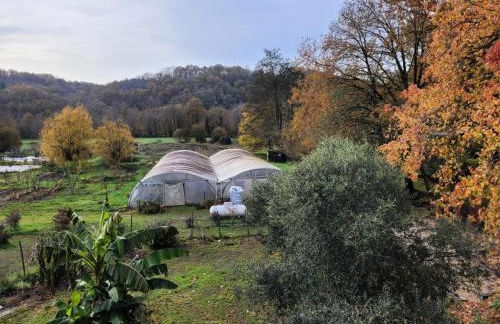 Gîte de France Gîte de la pépinière de chapi 2 épis - Gîte de France 4 personnes MAE-4631 - Foto 34