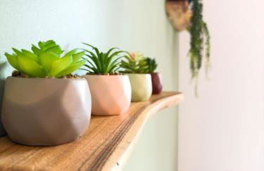 Le Patio ※ Carnot - Foto 11