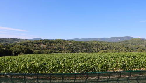 Les Vignes du Luberon - Foto 2