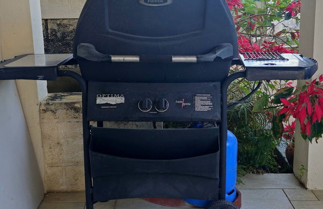 Jackson Breezy Vacation and Venue Rental Barbados - Foto 26