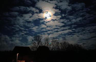 "Giseldas Rosen" - Allergikerfreundliche Ferienwohnung mit Wintergarten - Foto 24