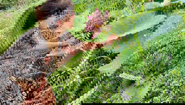 Demostración de Seven Curry en Georgetown - Foto 5, Durante la recolección