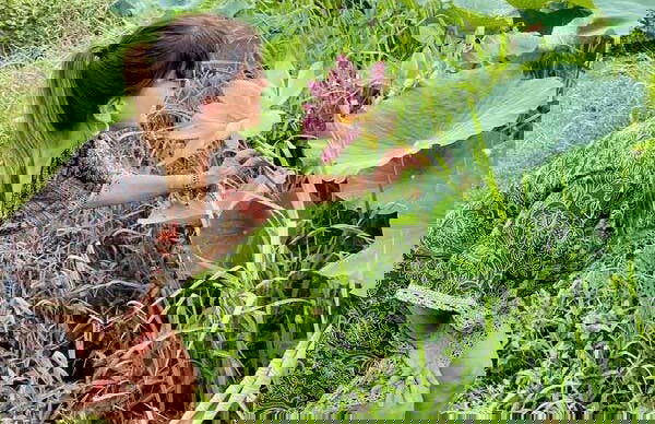 Demostración de Seven Curry en Georgetown - Foto 5