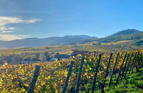 Le Grasberg - Foto 12