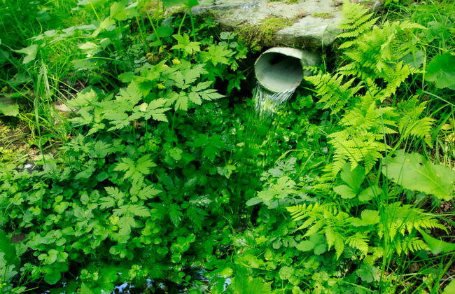 3 bedroom House in Lipno nad Vltavou with garden - Photo 23