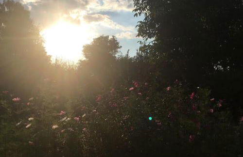 Landidyll - Bauernhaus Ländchen Bellin - Photo 45