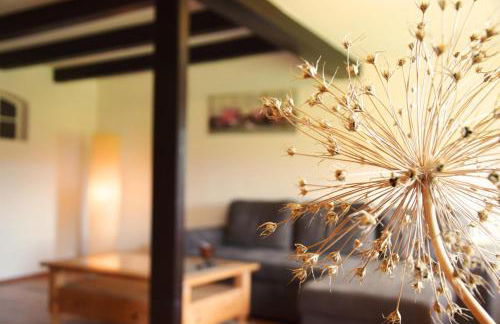 Kastanienhof - Foto 37