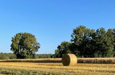 Casa da Peppe Schöne Auszeit im Schwarzwald - Foto 34