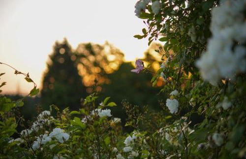 Romantik Unterkünfte Gut Rechetsberg - Foto 45