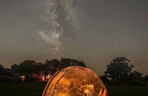 Cozy Hot Tent With Log Burner & Hot Tub Left Tent - Foto 31