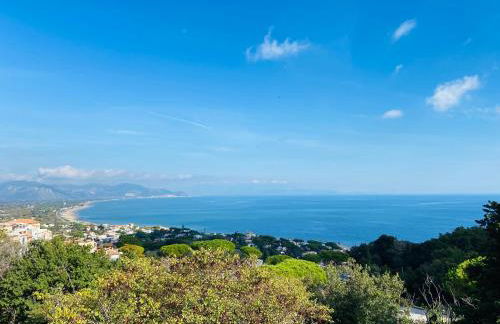 Ippocampo Blanc - Foto 15