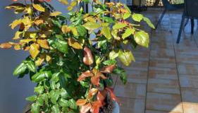 AMAZING VIEW IN ANTHIDONA - Foto 3