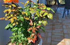 AMAZING VIEW IN ANTHIDONA - Foto 3