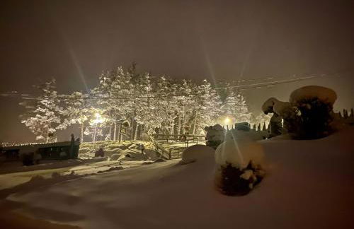 Oberprantschöllhof - Horse Mountain Stable - Foto 22