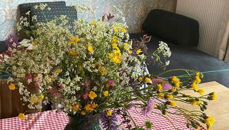 Residence Schneiderhof - Foto 5