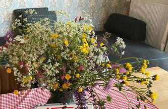 Residence Schneiderhof - Foto 5