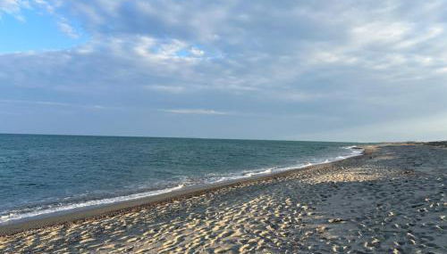 Mobil-home les pieds dans l'eau camping LES DUNES 5"'" - Foto 2