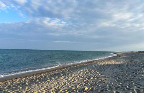Mobil-home les pieds dans l'eau camping LES DUNES 5"'" - Foto 2