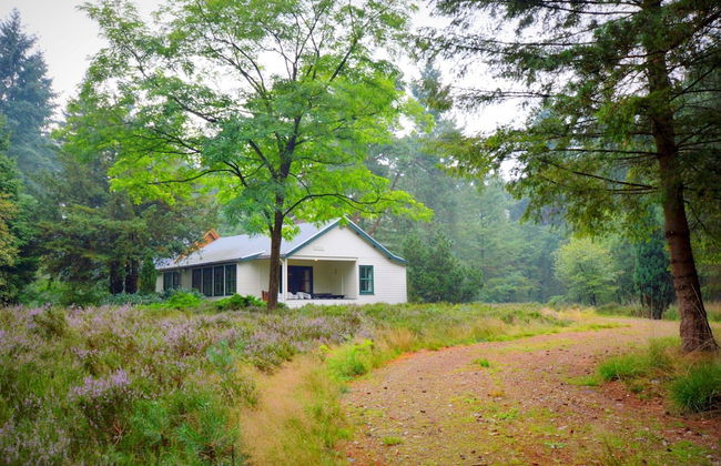 Cosy Holiday Home in Maarheeze With Verandah - Foto 43