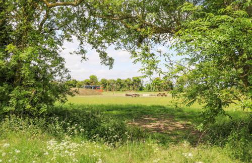 Woodpecker - Foto 24