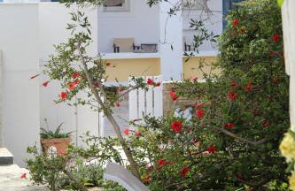 Maria's Garden - Foto 26