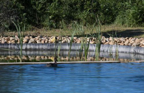 Le Pont Rouge Roulotte - Foto 43