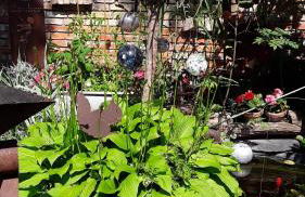 Ferienwohnung moderne Frische im Gewölbe - Photo 16