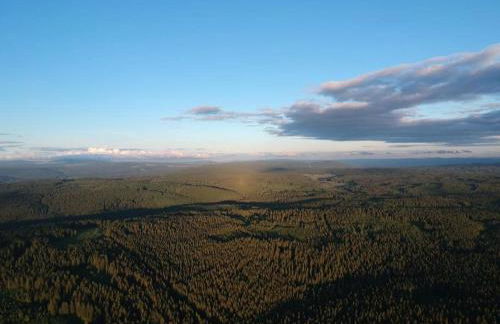 The Bridge - between NewZealand & OreMountains - Foto 47