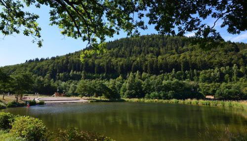 Ferienwohnungen Ambiente-Schmidt - Foto 4