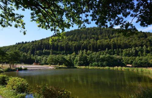 Ferienwohnungen Ambiente-Schmidt - Foto 4