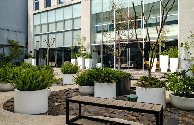 Nido GDL - Foto 1