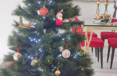 Penthouse Sabina mit Jacuzzi - Foto 32