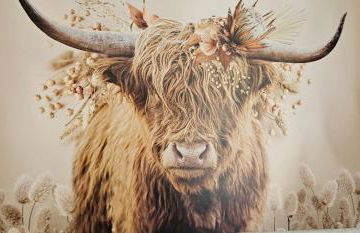 Home sweet Home - Photo 24