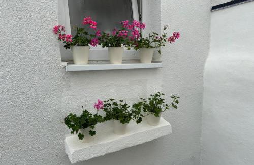 Ganzes Haus in Innenstadt für 3 Küche Terrasse - Foto 11