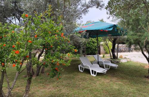 Marti's house in the olive grove - Foto 23
