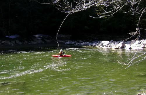Luxury Yurt Rental Hidden in the Forest near Bristol, Vermont - Foto 31