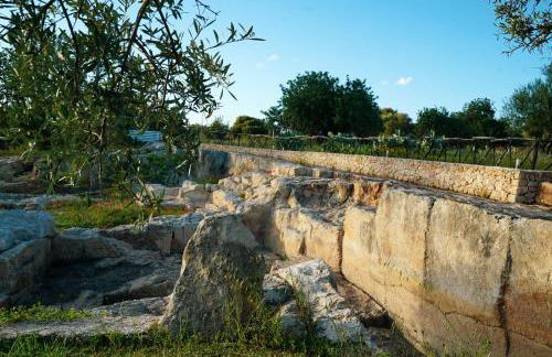 Le Cave di Fontane Bianche - Photo 58