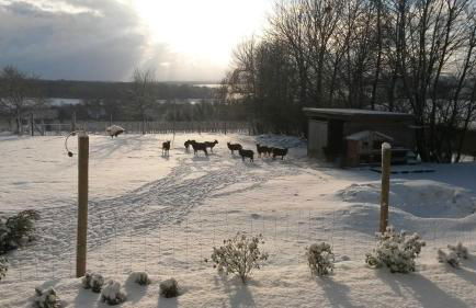 Ferienhof Laurentius - Foto 14