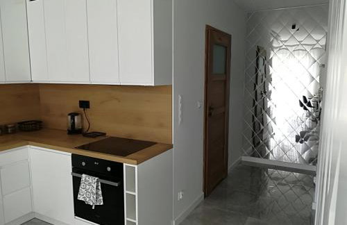 Apartament Wrocław Centrum Dorzecze Legnickiej - Photo 9