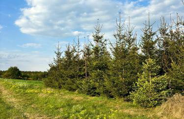 Apartamenty i Winnica - Siedlisko Na Polanie - Foto 69