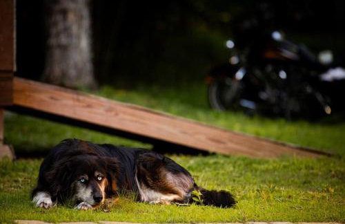 The Cozy Cold Brook Escape - Foto 39