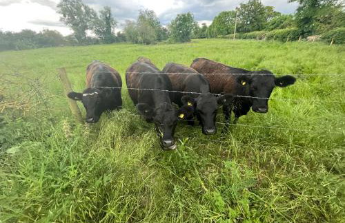 Corner Cottage - Foto 25