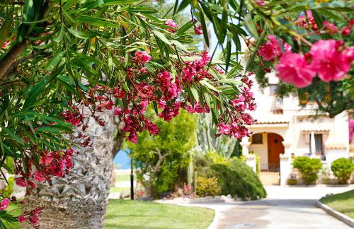 LightHouse View I - Foto 66