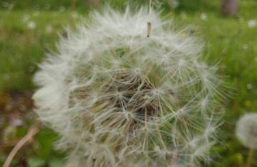 Le Moulin d' Erée, gîte Insolite de charme - Foto 35